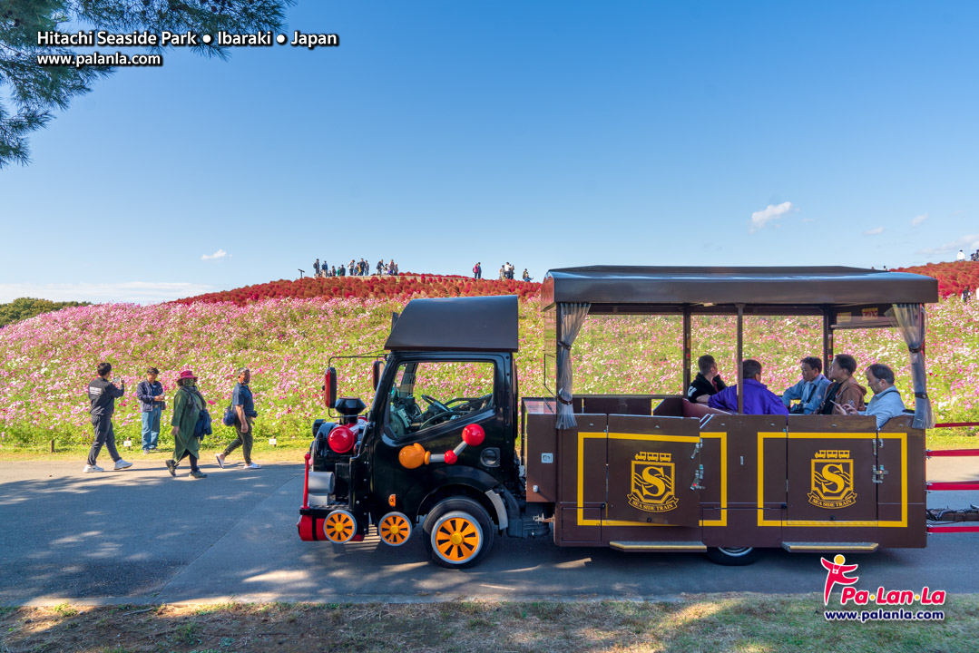 Hitachi Seaside Park